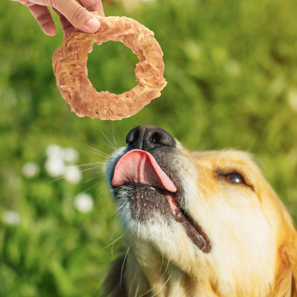 Jungle Calling long-lasting chew supports joint comfort and playful activity