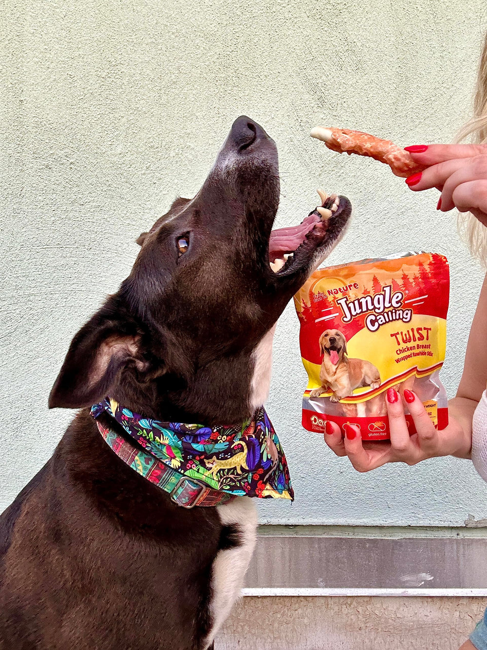 Jungle Calling long-lasting-chews illustrate engaging chew time for dogs.