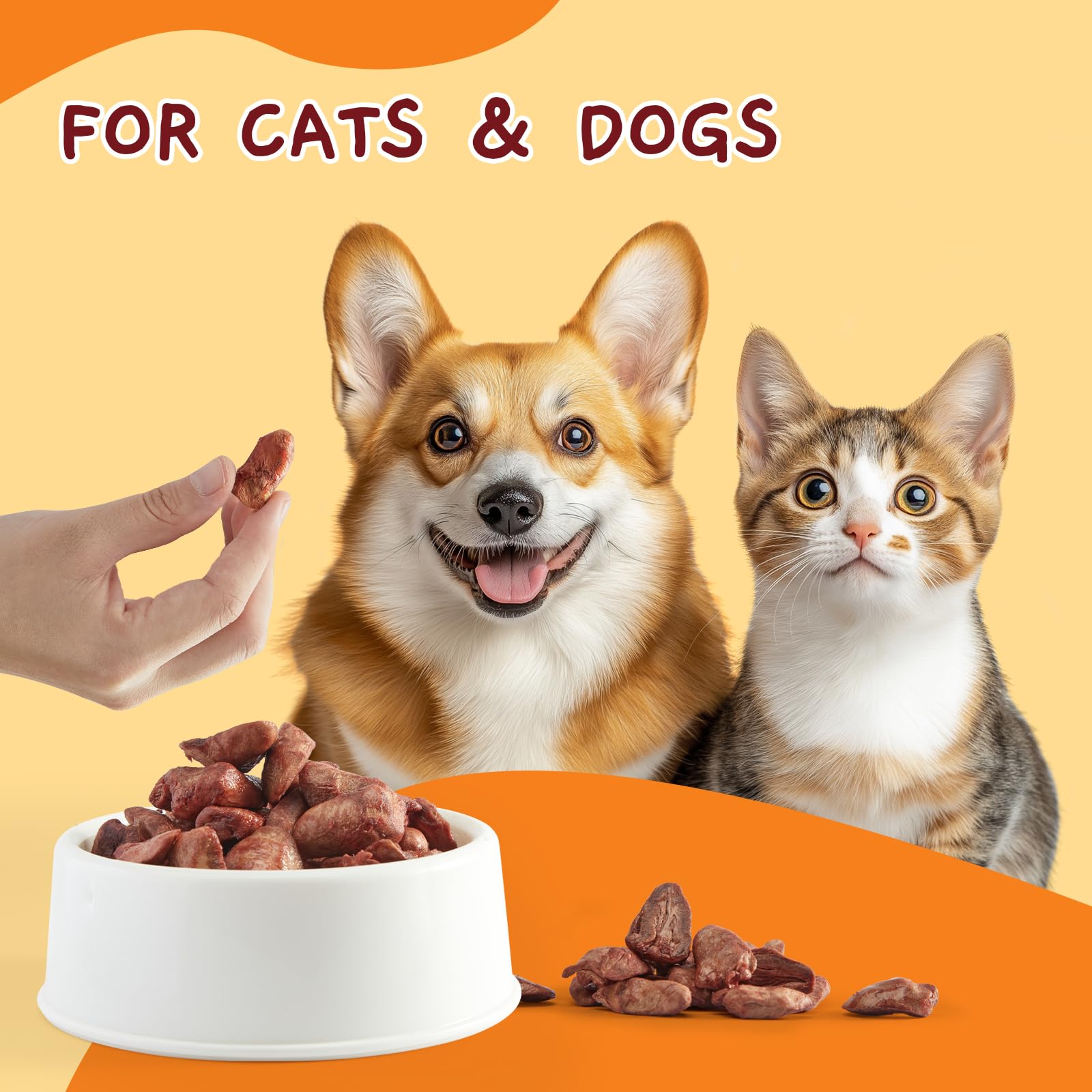 Jungle Calling single-ingredient organ meat highlighting simple, natural nutrition.
