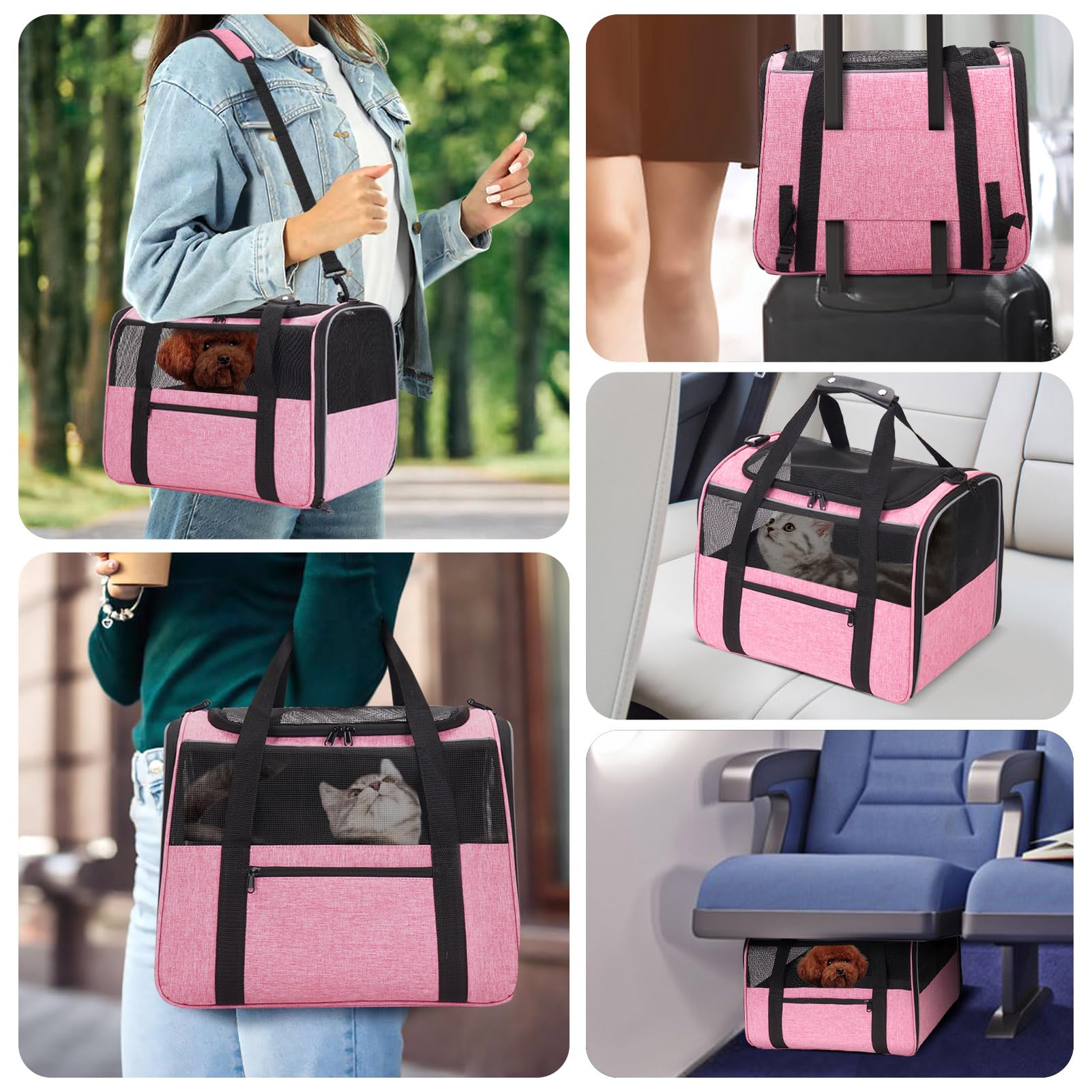 JUNGYOUN cat carrier ventilation mesh provides 360° airflow for comfort.
