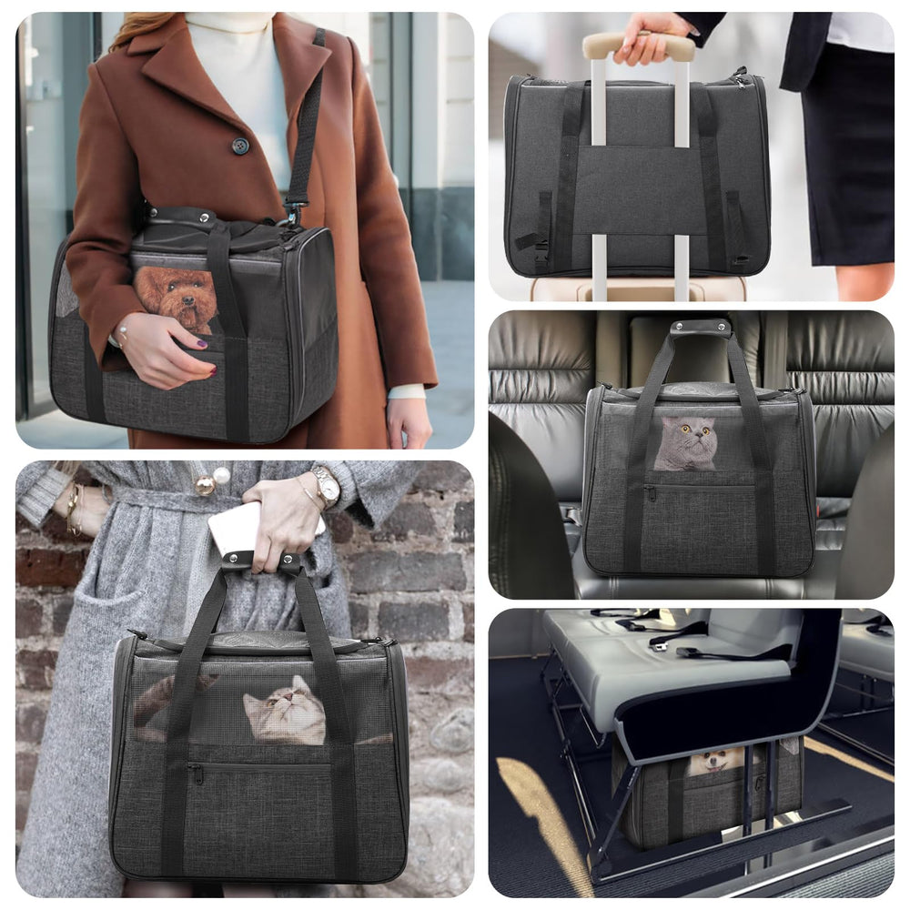 JUNGYOON Premium Cat Carrier interior with plush pad for cozy rides.