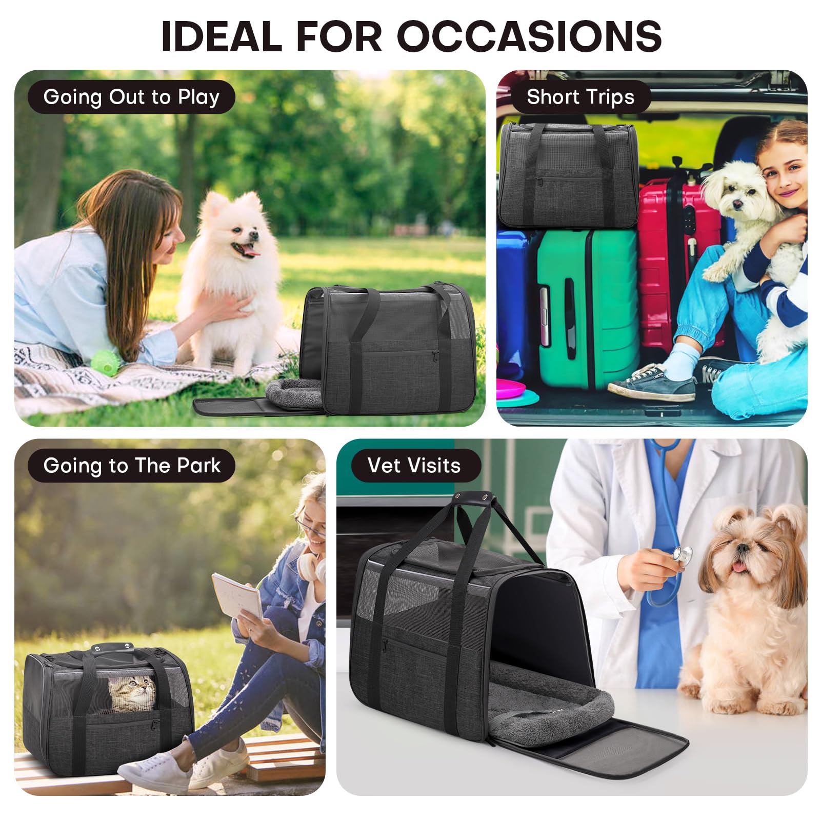 JUNGYOON Premium Cat Carrier side profile highlights reinforced structure and easy accessibility.