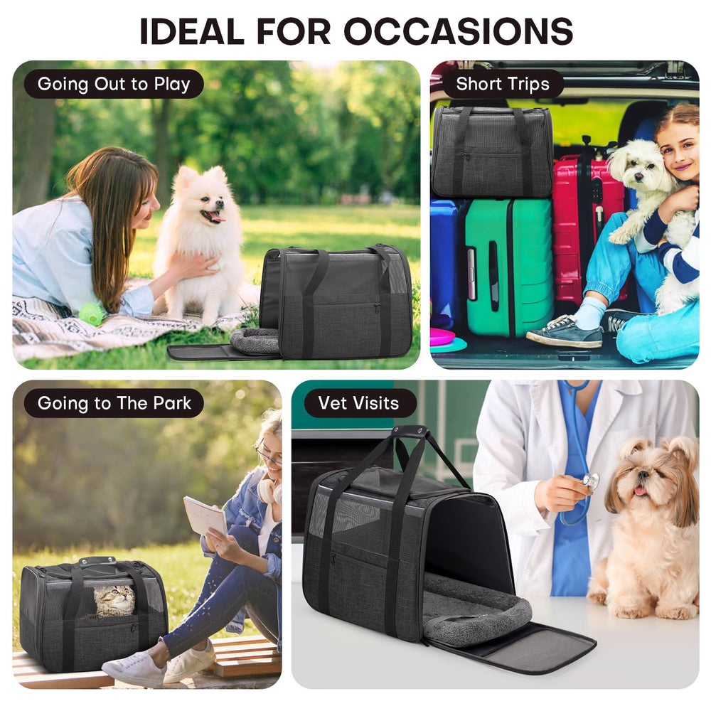 JUNGYOON Premium Cat Carrier side profile highlights reinforced structure and easy accessibility.
