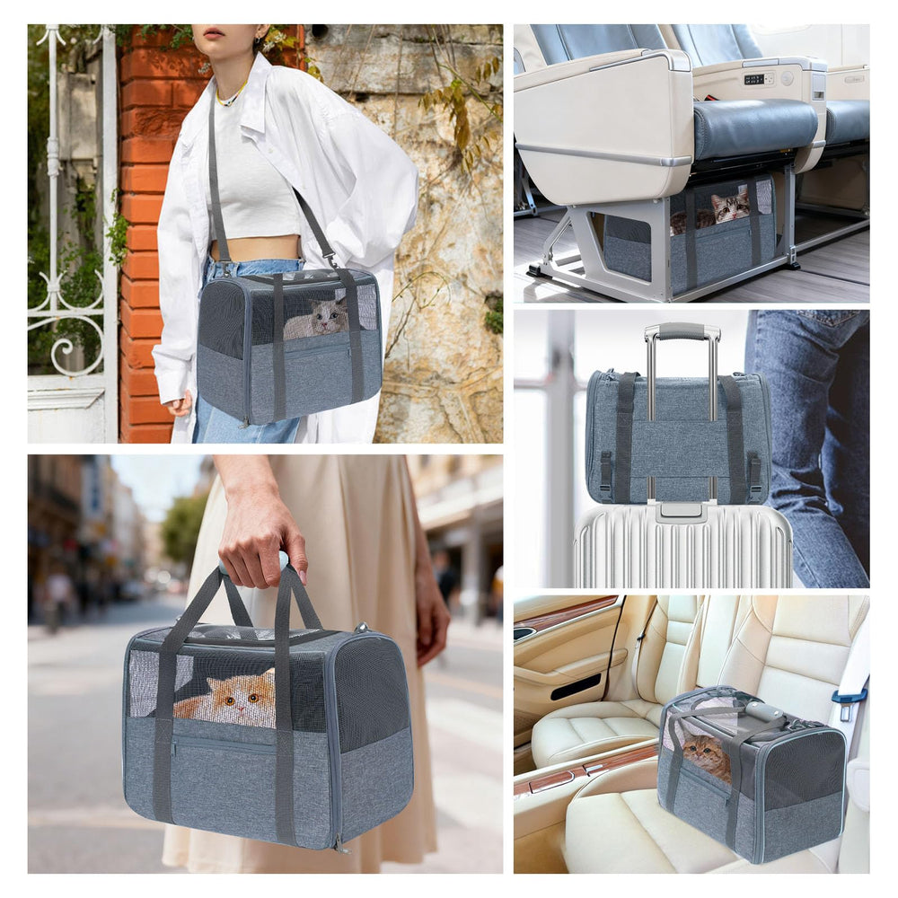 JUNGYOON Premium Cat Carrier top ventilation highlighting 360° airflow