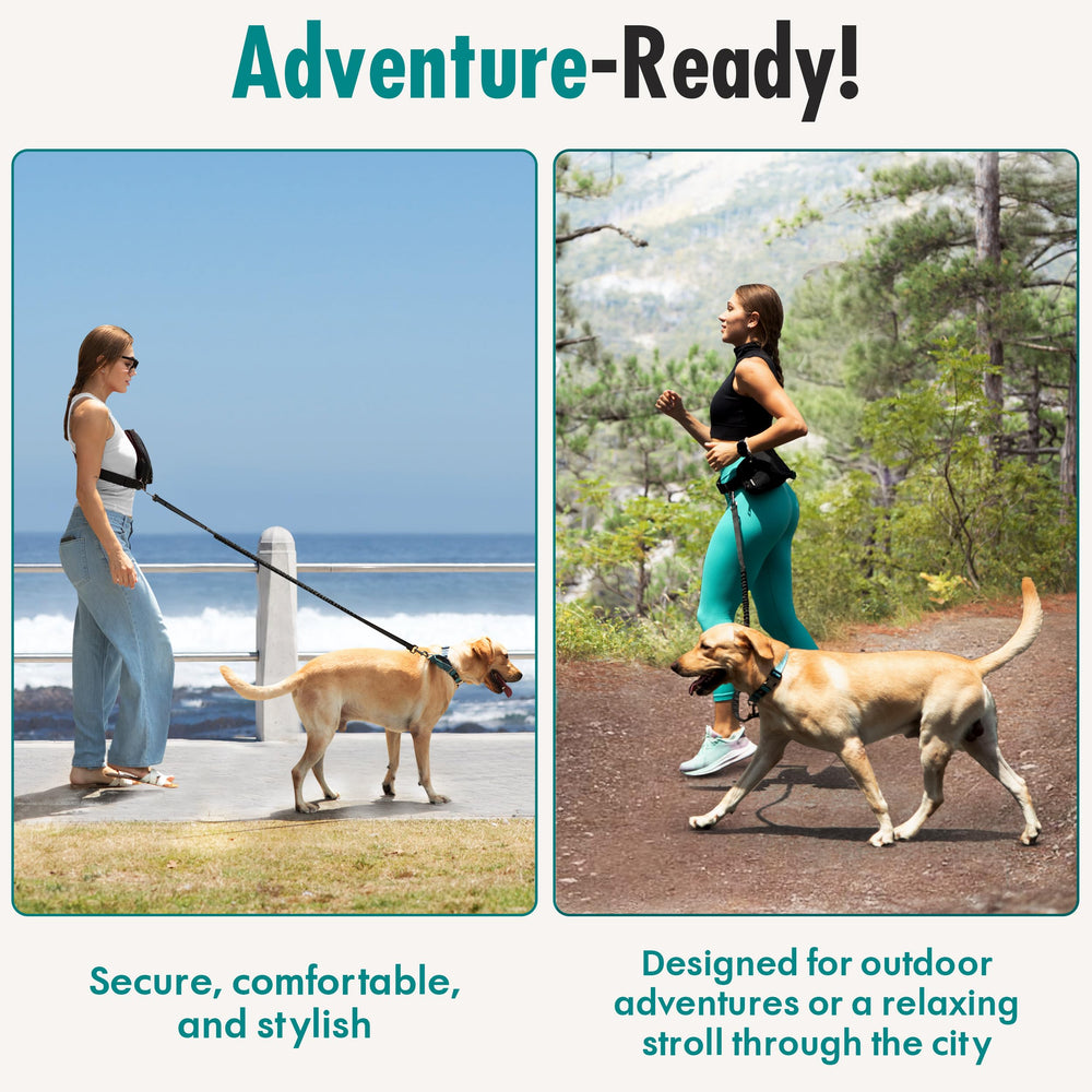 JUNIPOOCH handle-grips-on-leash provides extra control in crowds.