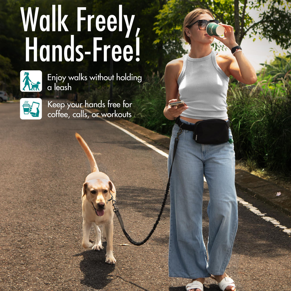 JUNIPOOCH shock-absorbing-bungee-leash reduces pulling tension.