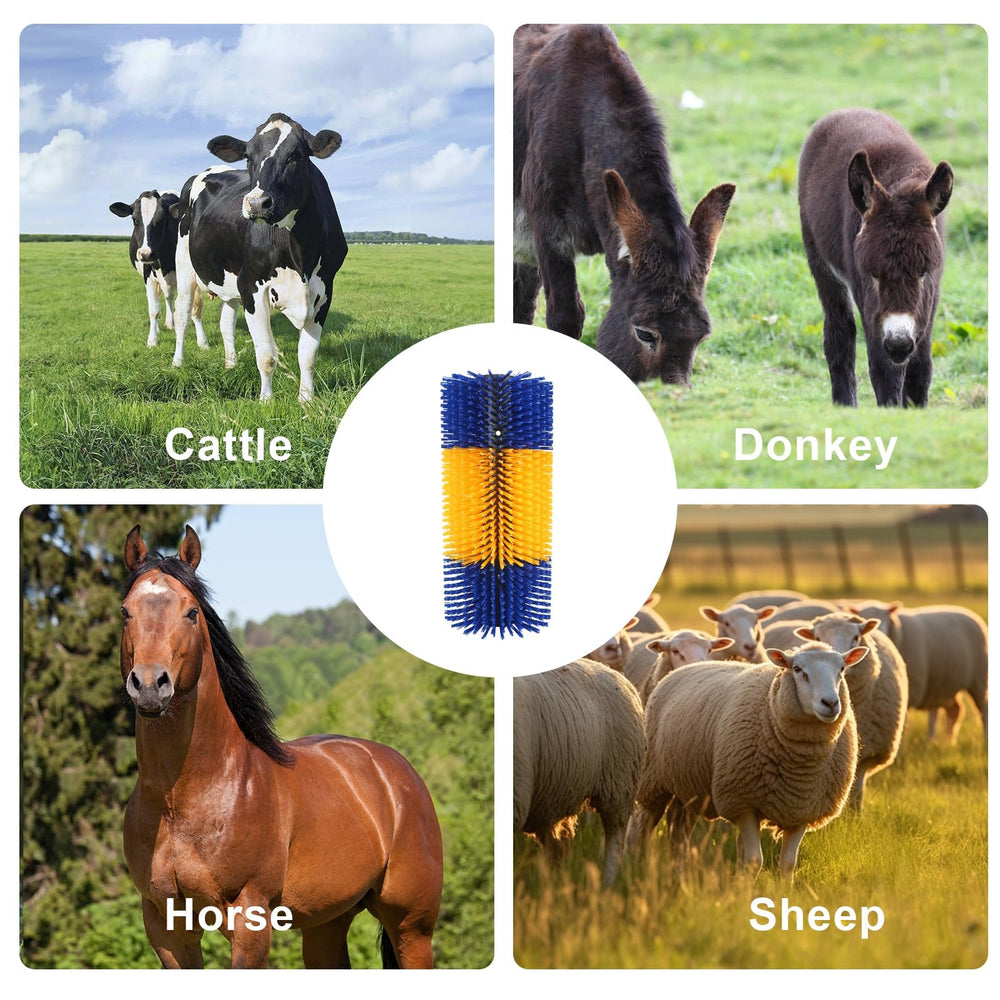 Family-run farm features JUNJIAHAOZHU brushes improving daily animal comfort