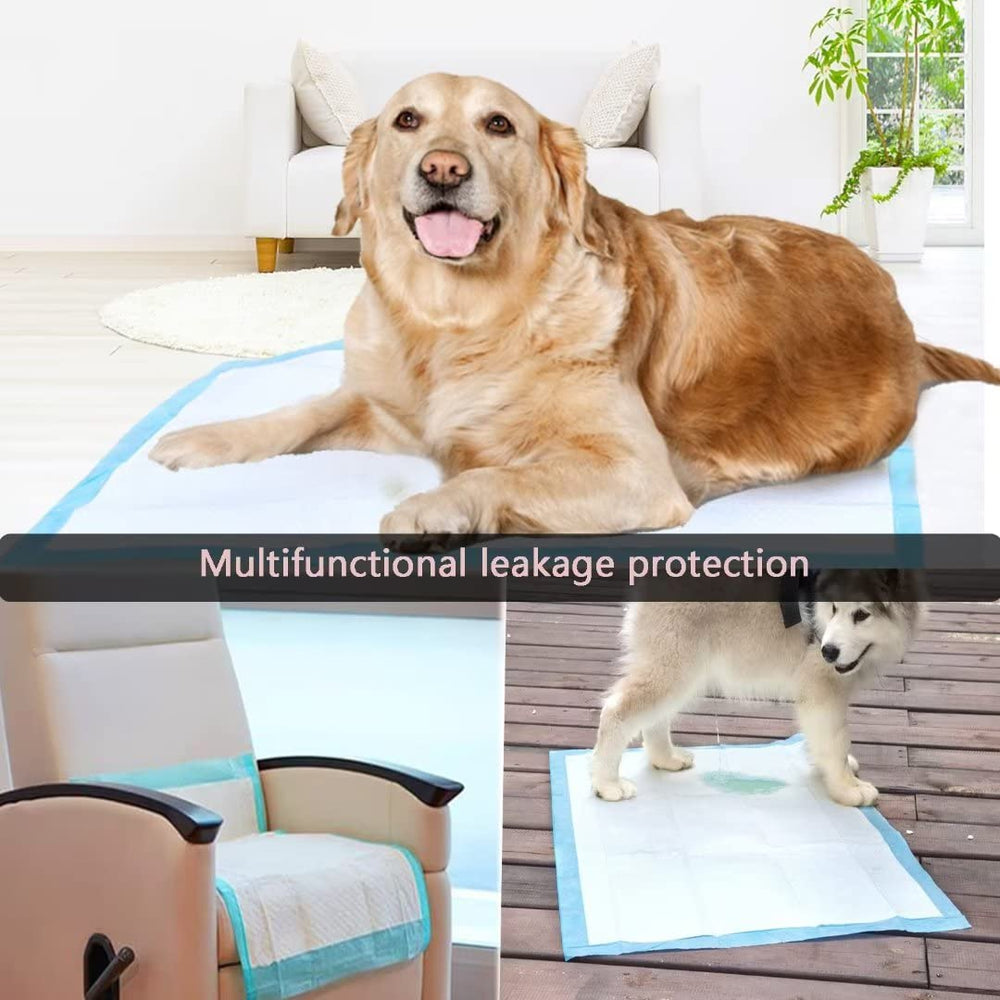 JUNYUHU 36-inch square pads offer large-pet protection for furniture and mattresses