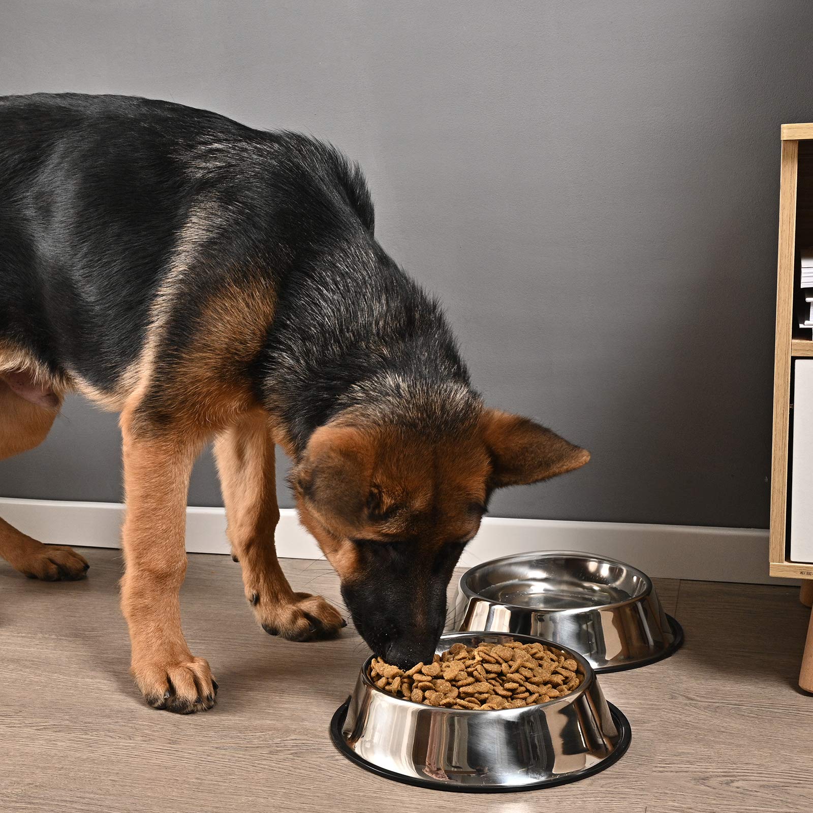 Juqiboom polished design adds a premium look to pet meals.