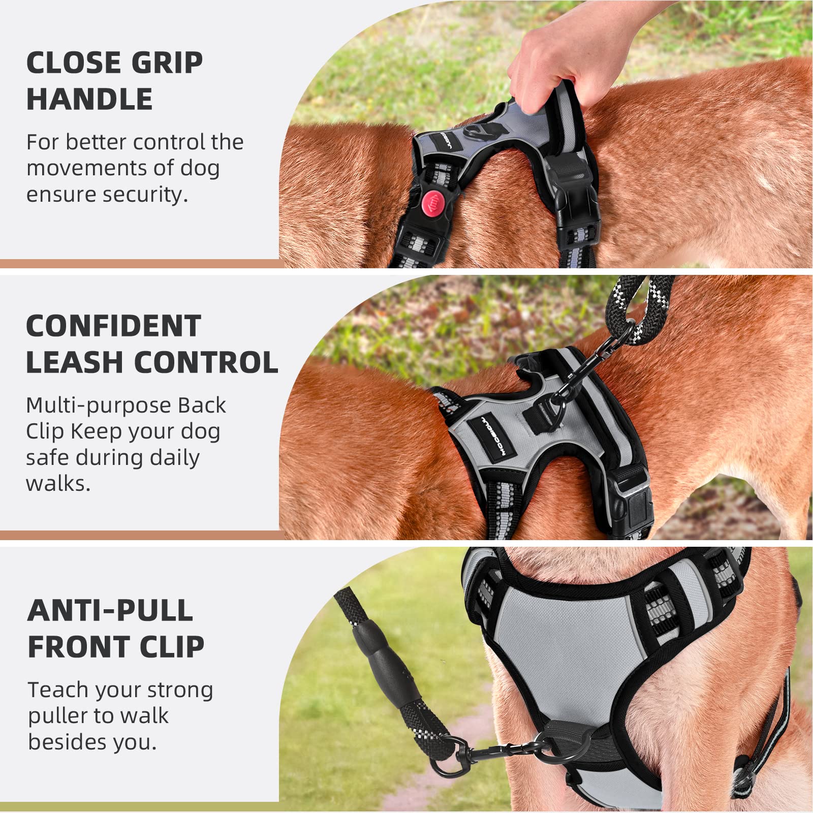 Juqiboom Heavy-duty leash shown with harness for complete setup.