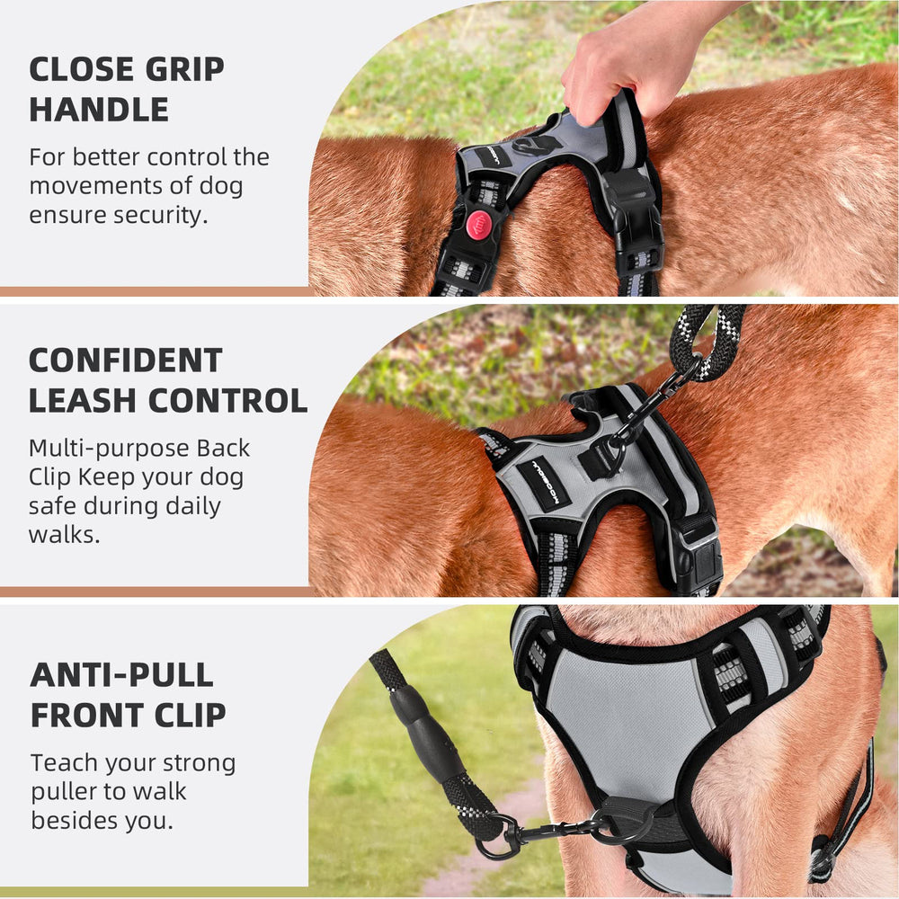 Juqiboom Heavy-duty leash shown with harness for complete setup.