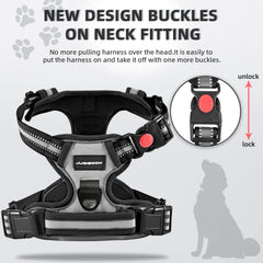Juqiboom No Pull Harness back clip enables relaxed walks and casual wear.