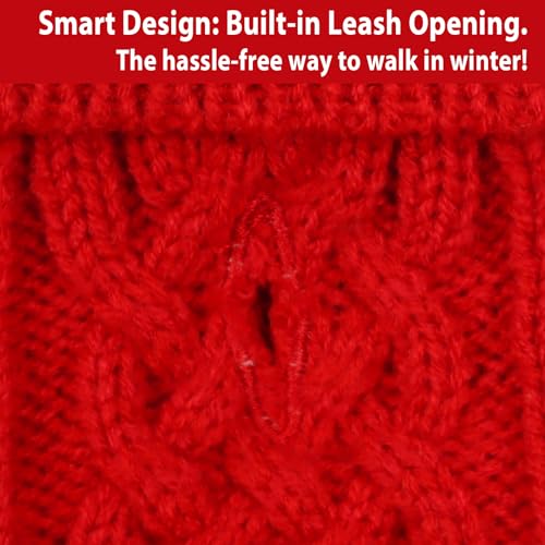 Just Jolly festive red dog sweater suitable for spring, autumn, and winter photos