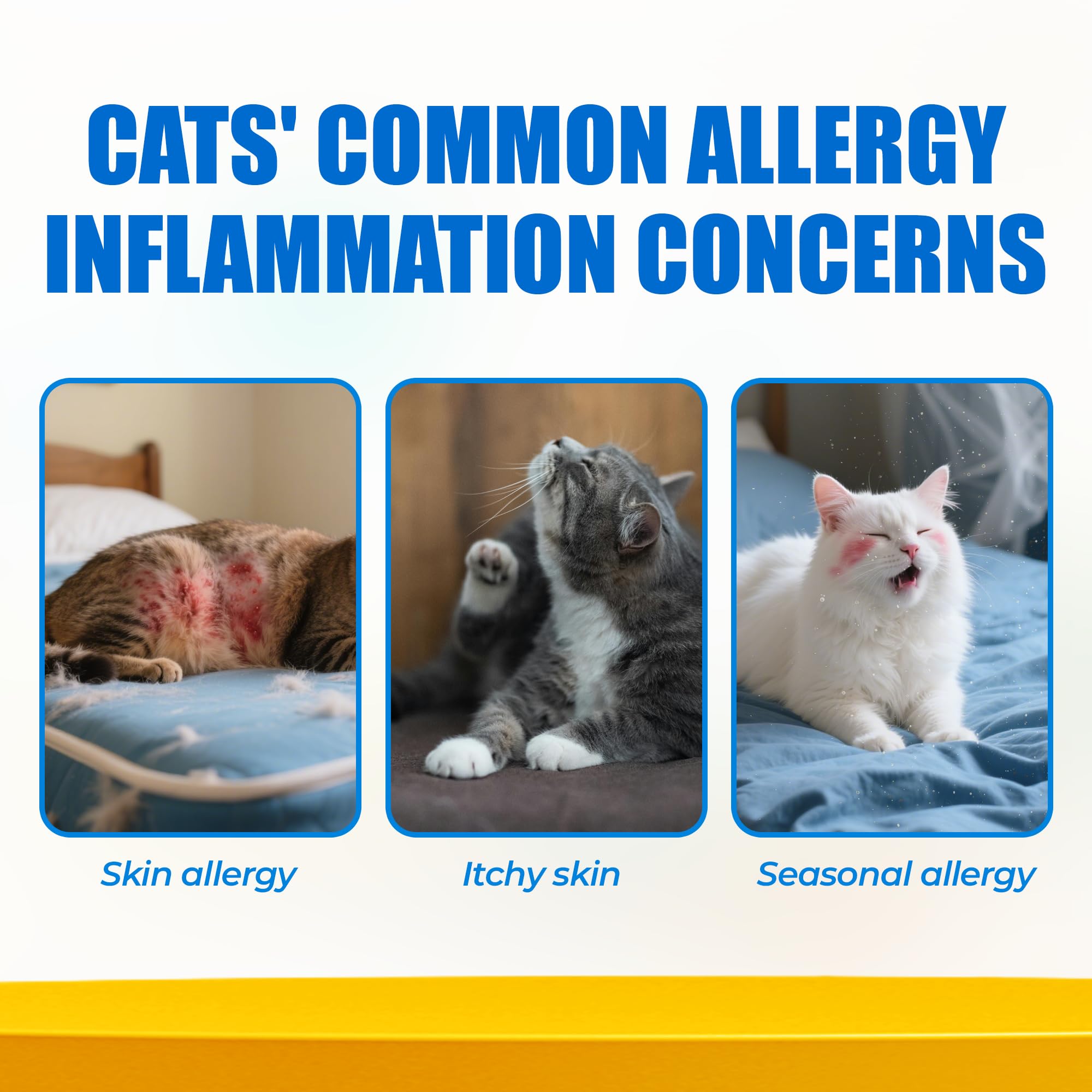 Just Try 300 Bites bottle-closeup highlights precise dosing for safe cat supplementation