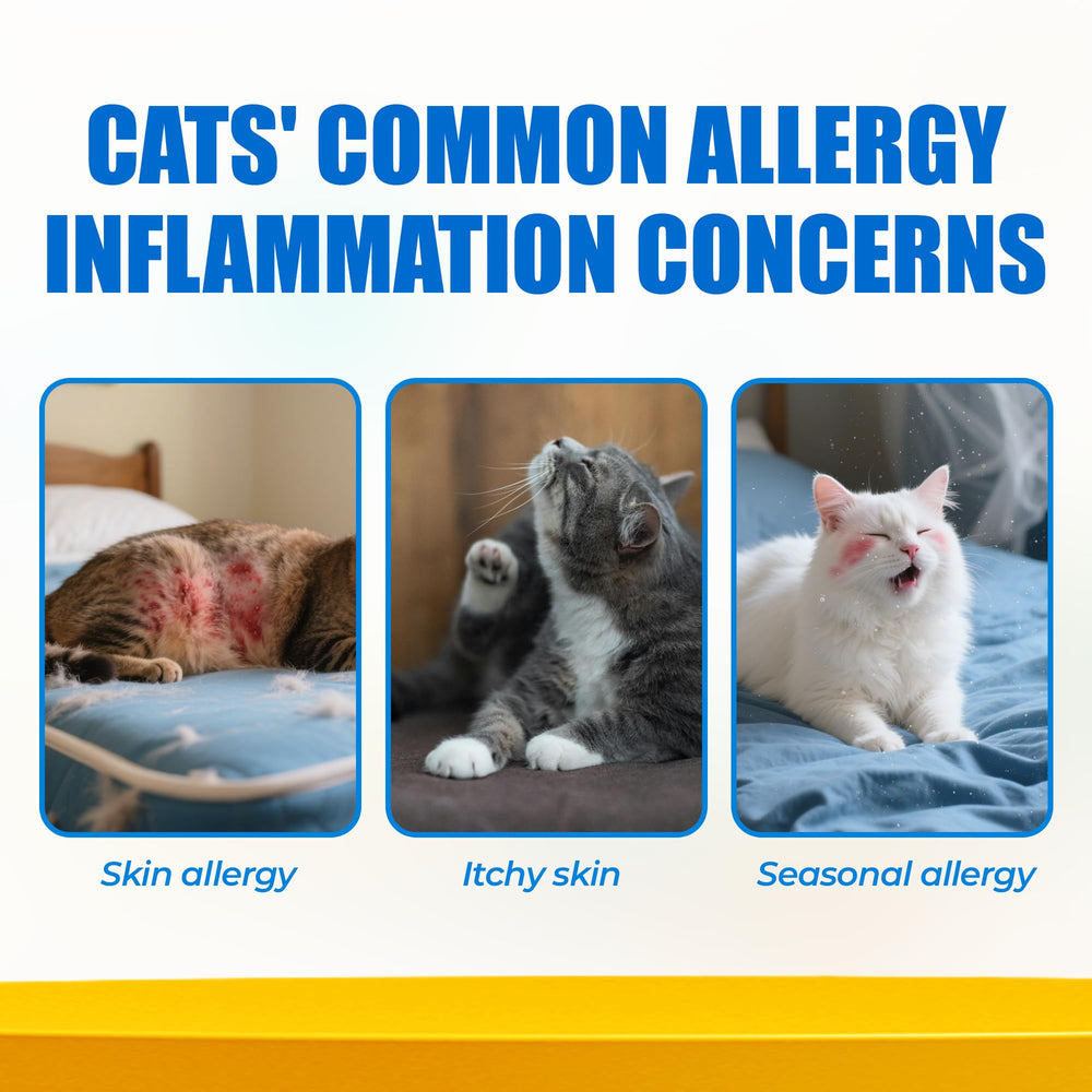 Just Try 300 Bites bottle-closeup highlights precise dosing for safe cat supplementation