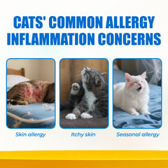Just Try 300 Bites bottle-closeup highlights precise dosing for safe cat supplementation