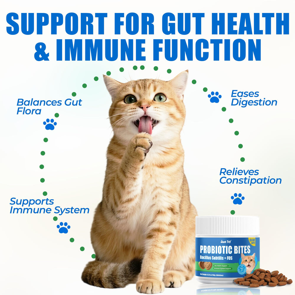 Just Try 300 Bites cat health essentials supporting indoor cat digestion