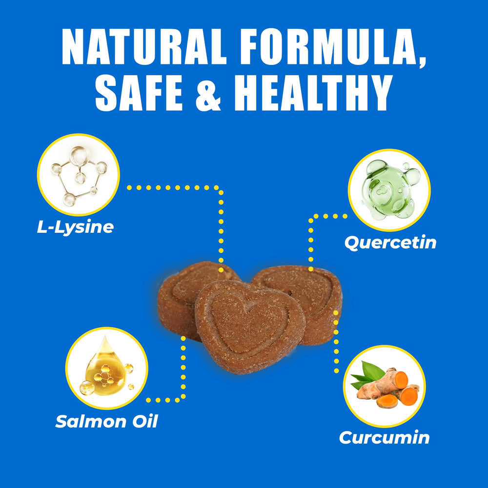 Just Try 300 Bites-lysine-quercetin-ingredients highlights science-backed nutrients for skin and eye function