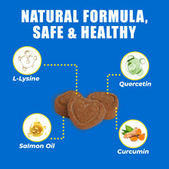 Just Try 300 Bites-lysine-quercetin-ingredients highlights science-backed nutrients for skin and eye function