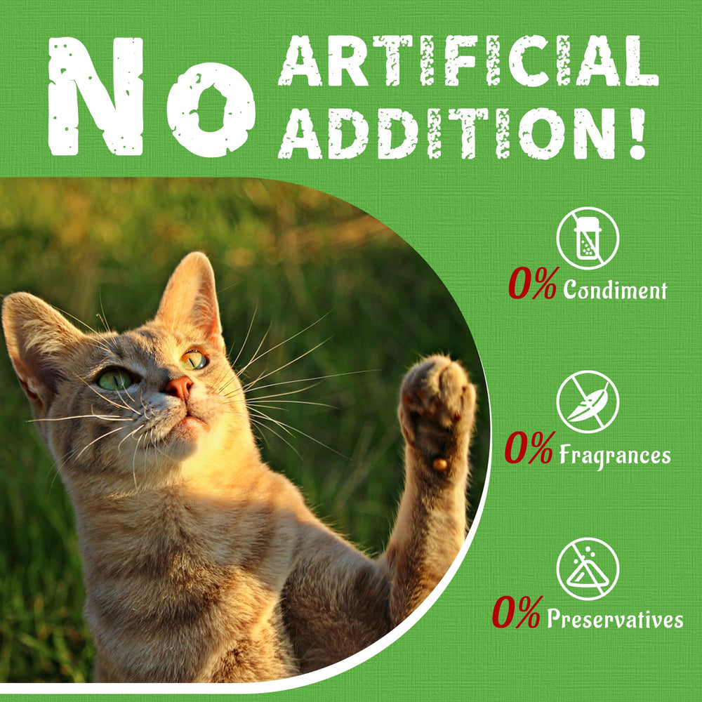 Just Try cat grass jerky senior-friendly packaging appeals to cats of all ages.