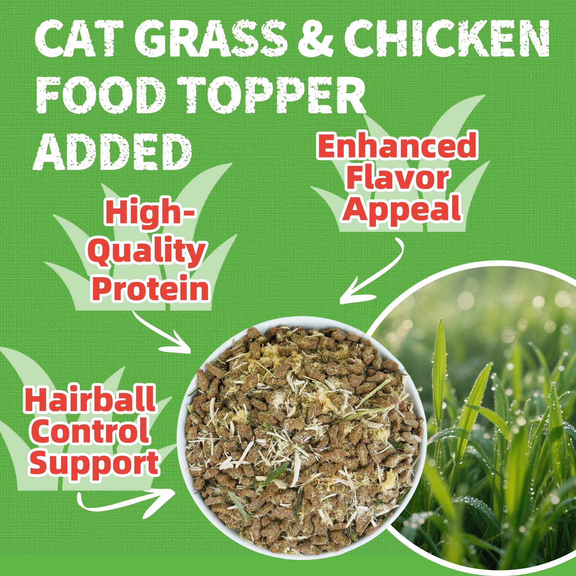Just Try cat grass jerky trays illustrate low-calorie snacks for indoor cats.