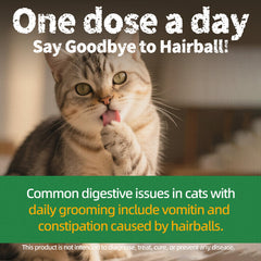 Just Try catnip salmon treats for indoor cats during training