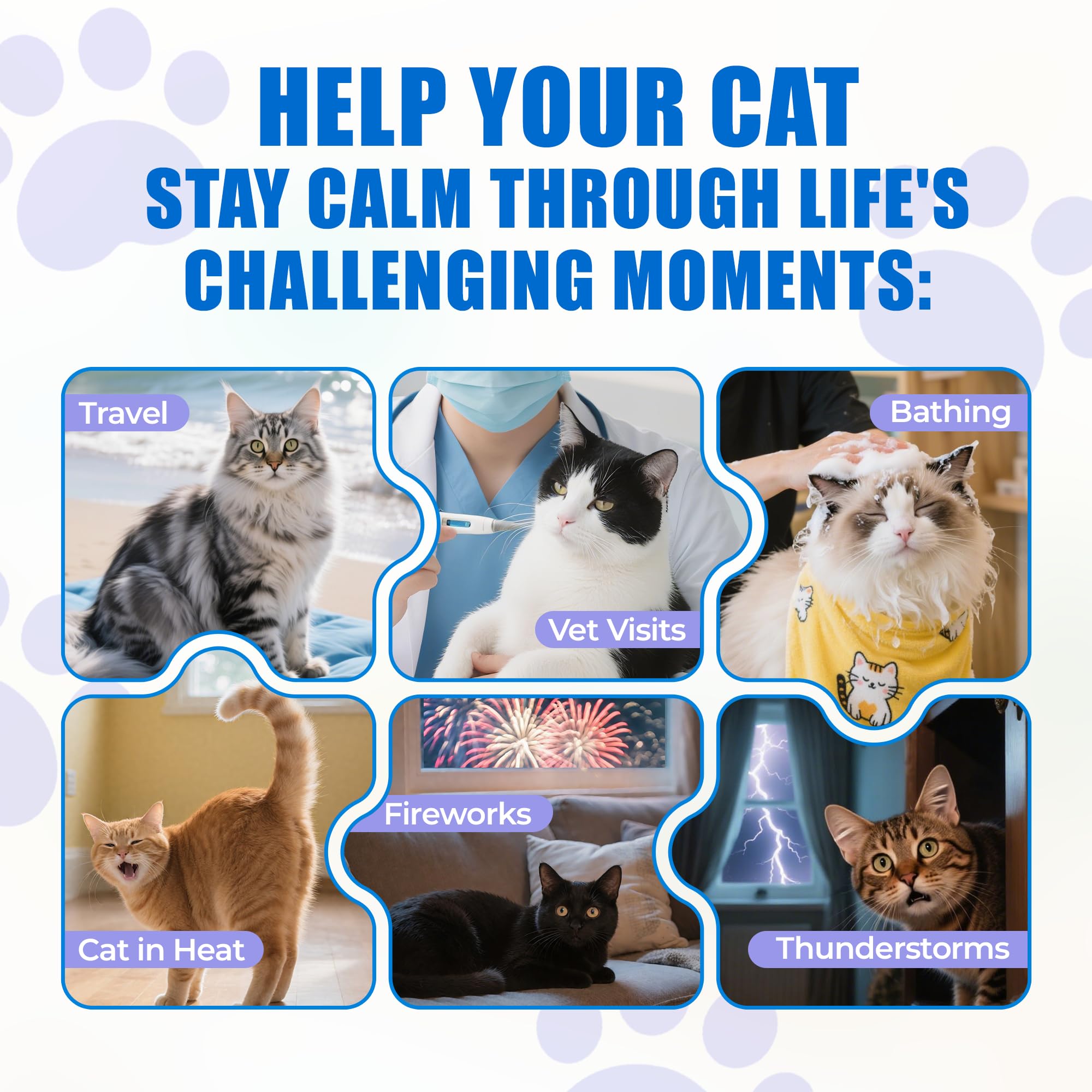 Just Try chicken-flavor treats closeup highlighting tasty flavor ease during stressful moments