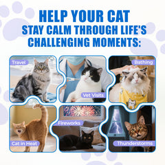 Just Try chicken-flavor treats closeup highlighting tasty flavor ease during stressful moments