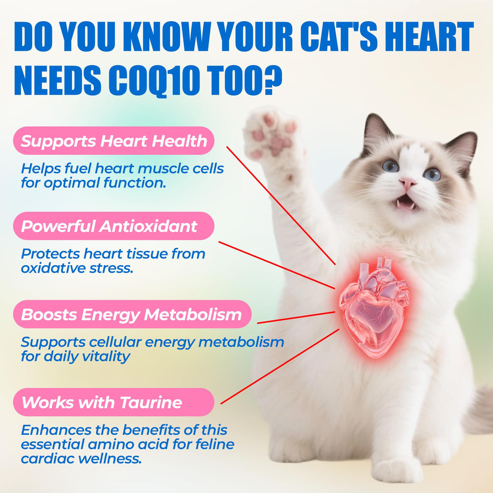 Just Try CoQ10 Bites taurine ingredient closeup highlights feline nutrition
