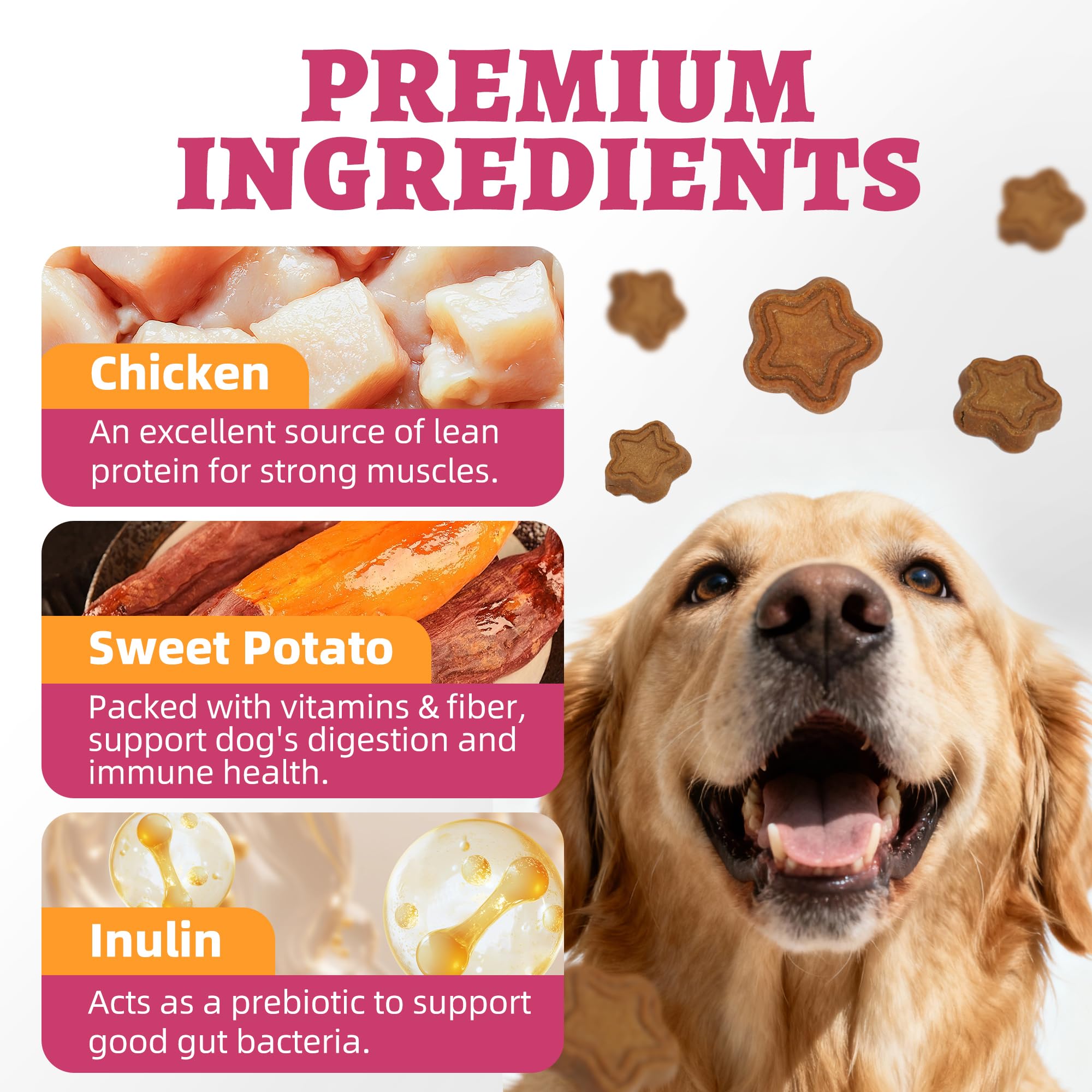Just Try dog biscuits sweet potato crunch close up showing crisp texture