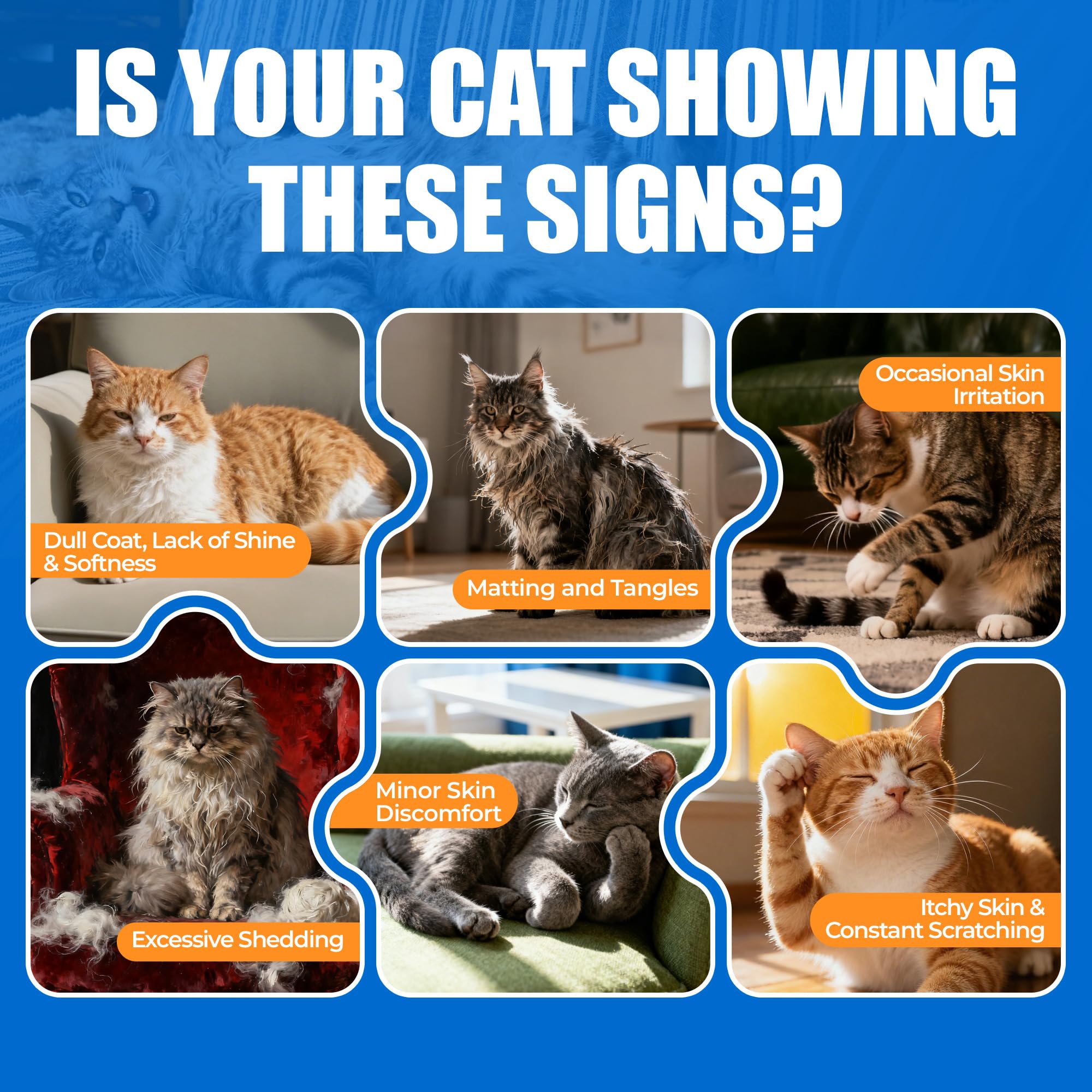 Just Try indoor-cat wellness benefits shown through a healthy coat close-up.