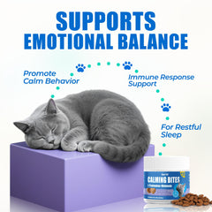 Just Try ingredients label with L-Tryptophan and chamomile signals balanced mood support