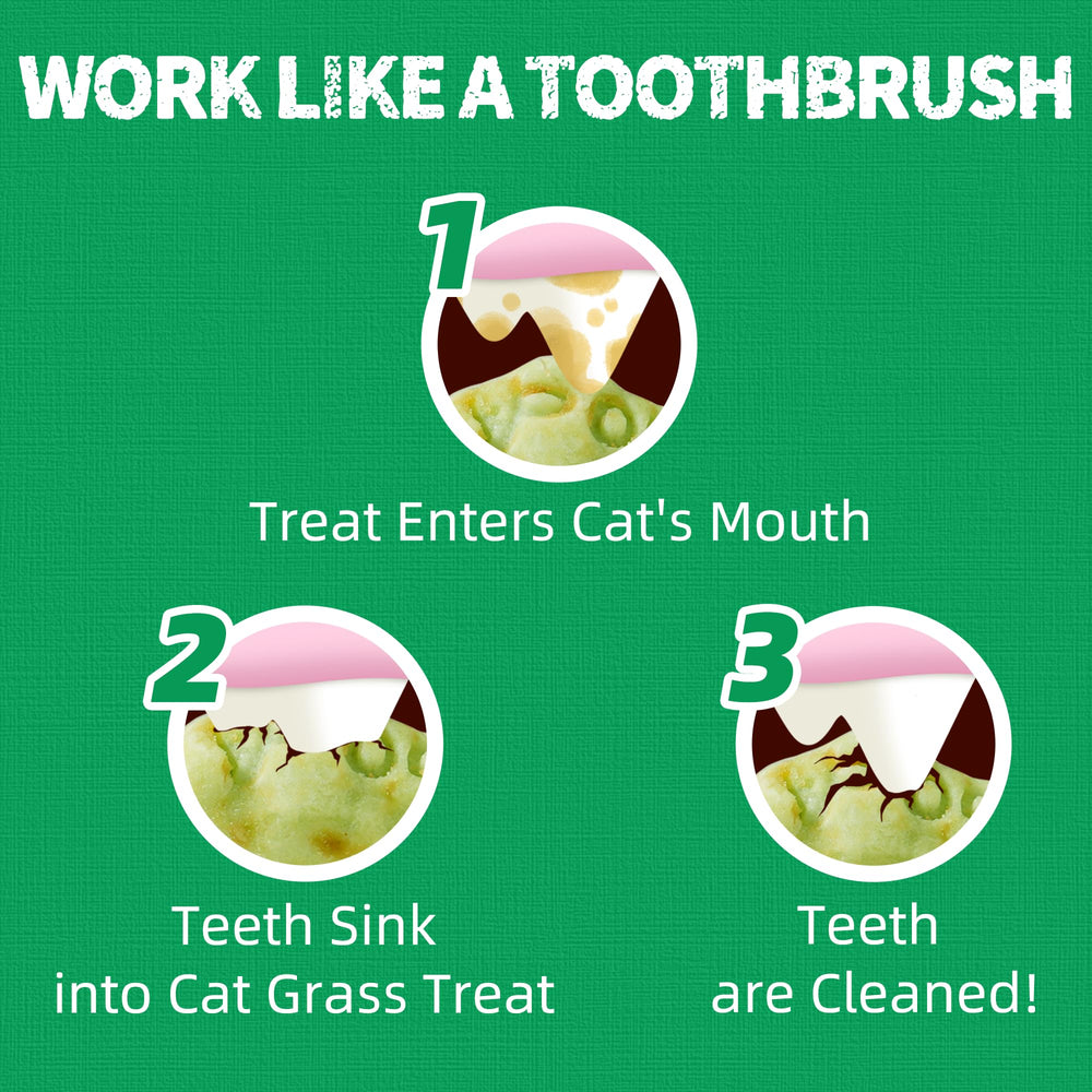 Just Try kitten-friendly bites illustrate safe treats for growing cats.