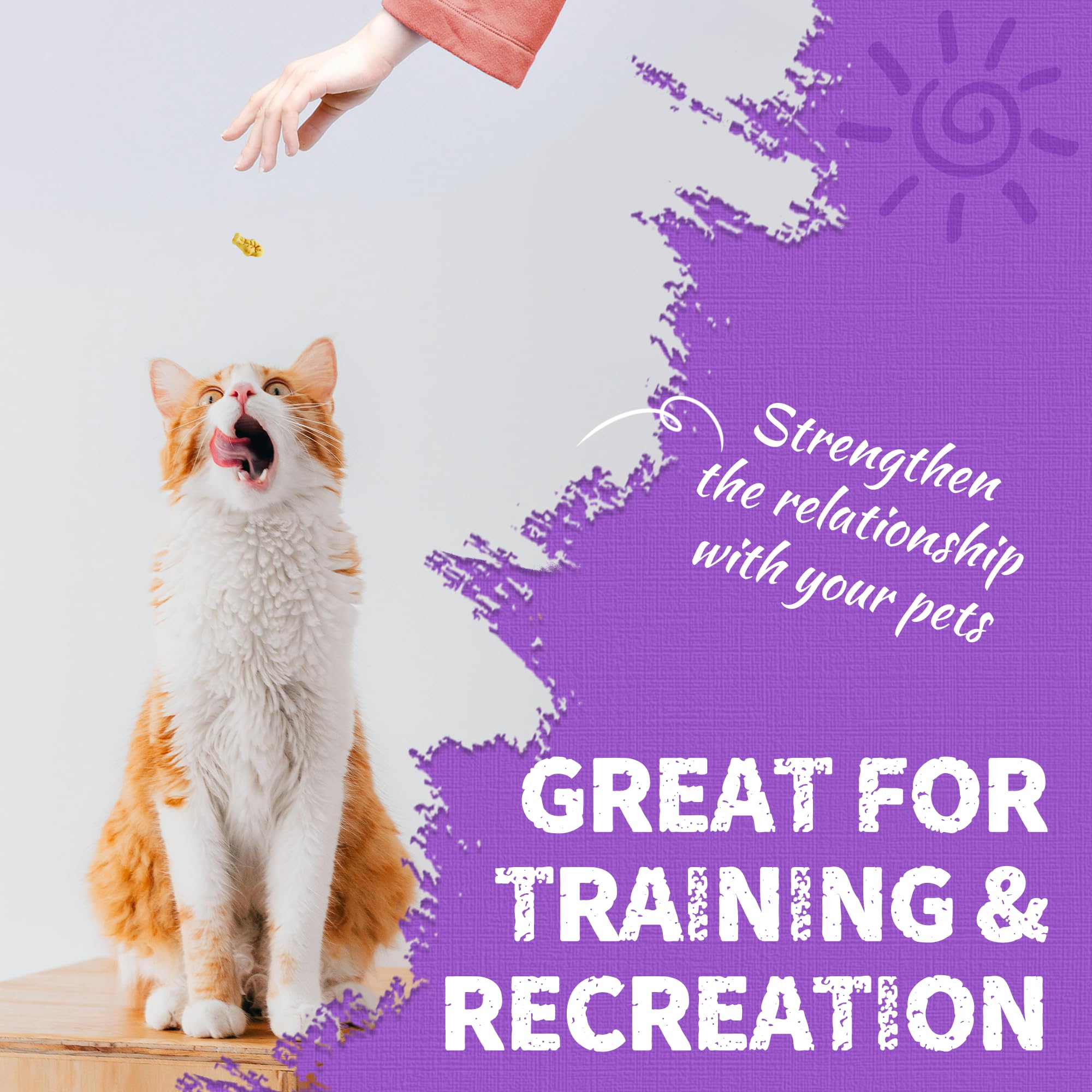 Just Try Lysine Cat Treats daily use for cat routines