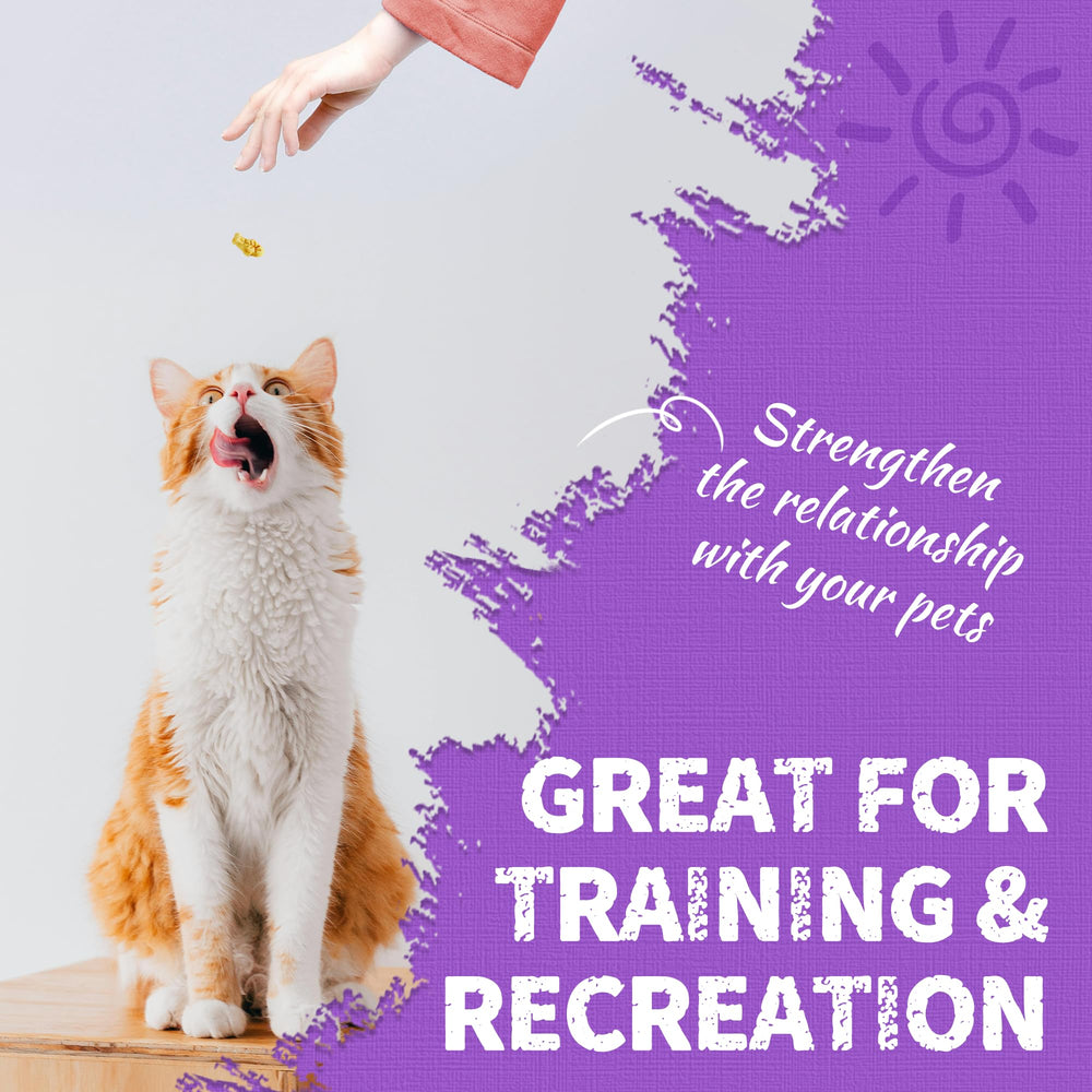 Just Try Lysine Cat Treats daily use for cat routines