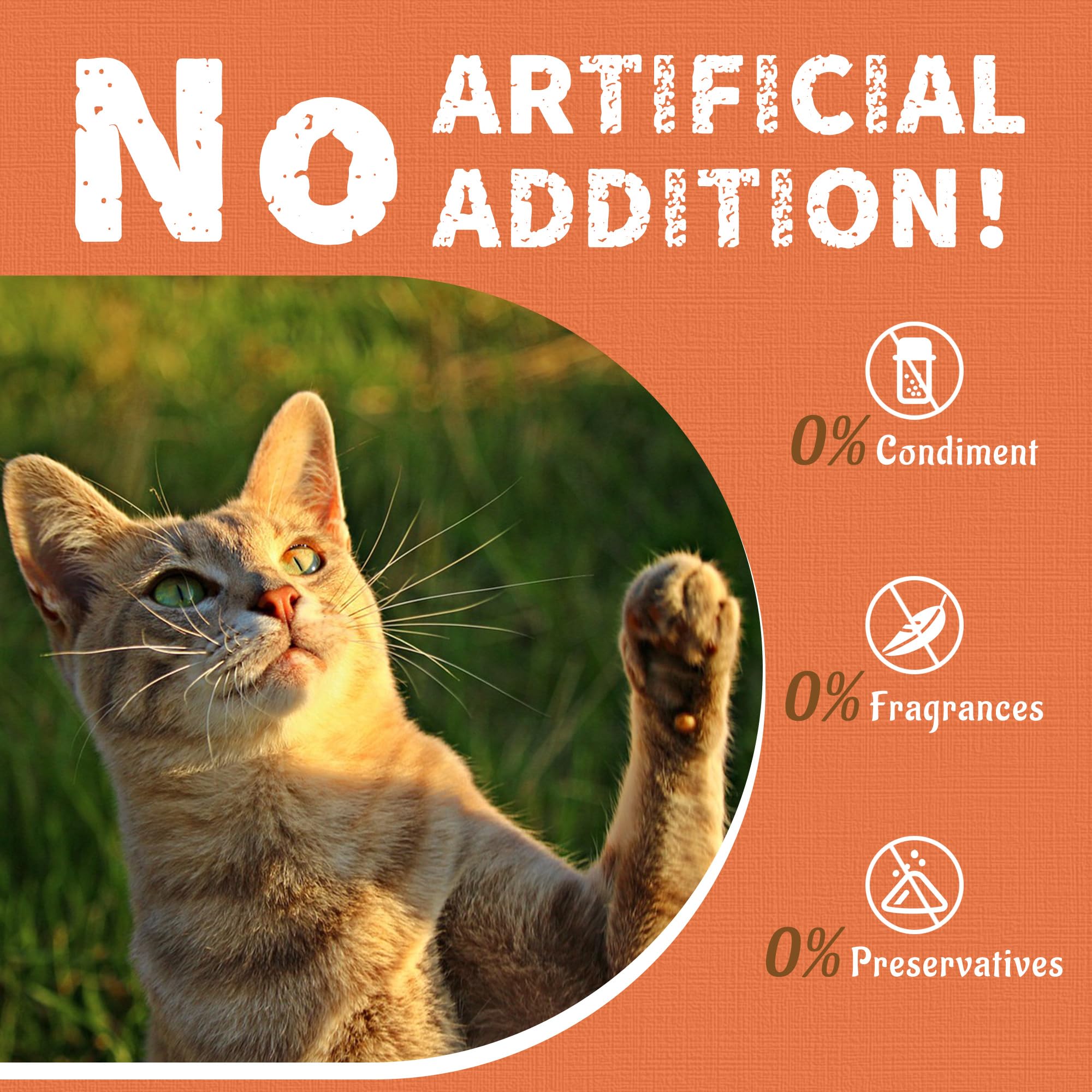 Just Try Lysine Cat Treats indoor-cat friendly crunch—plaque-friendly dental care bite.