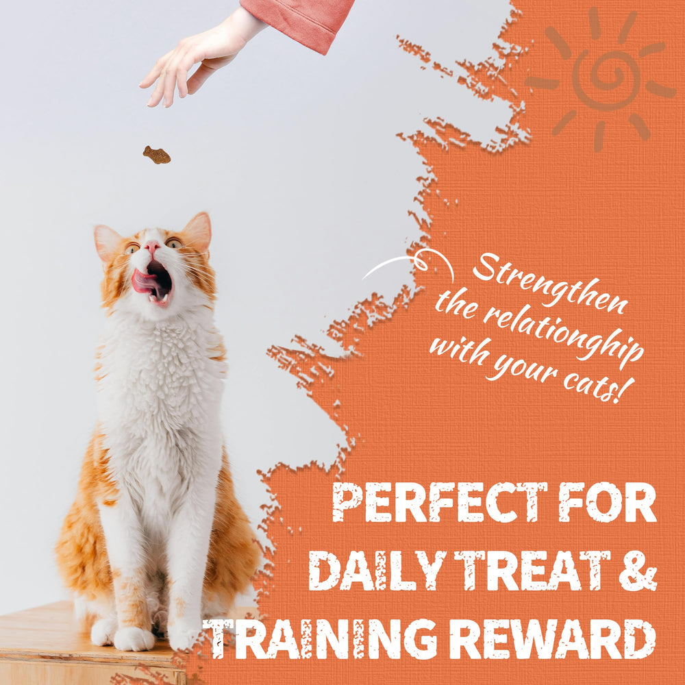 Just Try Lysine Cat Treats low-calorie formula—kitten to senior cats can safely enjoy.
