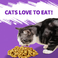 Just Try Lysine Cat Treats Lysine ingredients support daily care