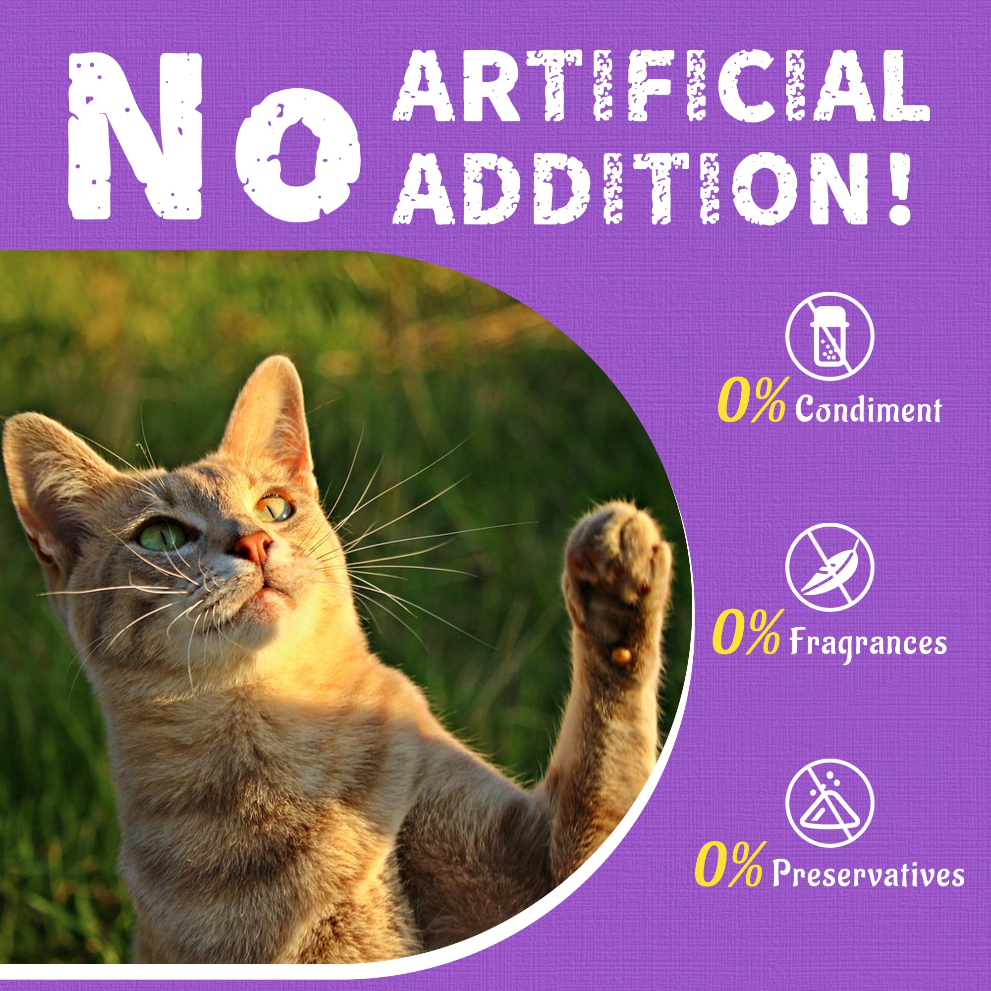 Just Try Lysine Cat Treats Resealable tub maintains freshness between sessions