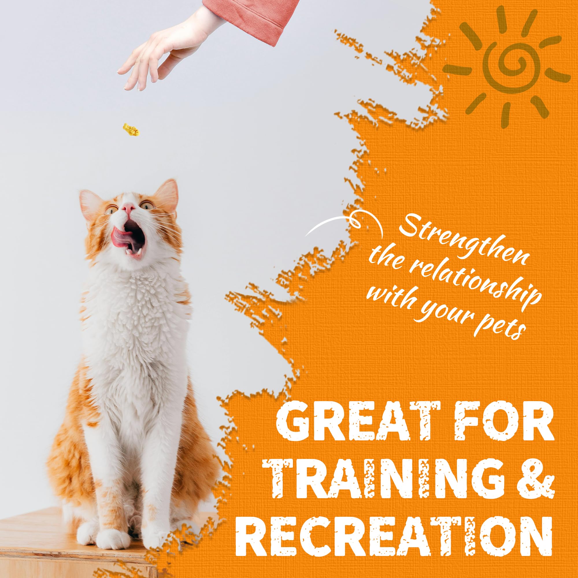 Just Try pumpkin cat treats cozy snack session for bonding