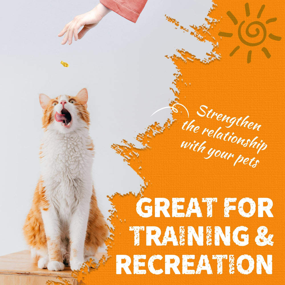Just Try pumpkin cat treats cozy snack session for bonding