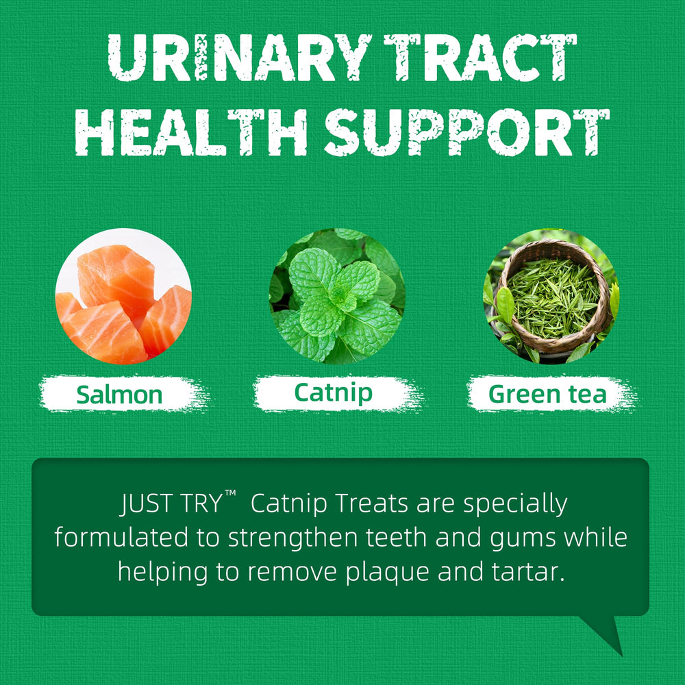 Just Try real-salmon-chicken treats flavor-forward closeup supports tasty snacking for active cats.