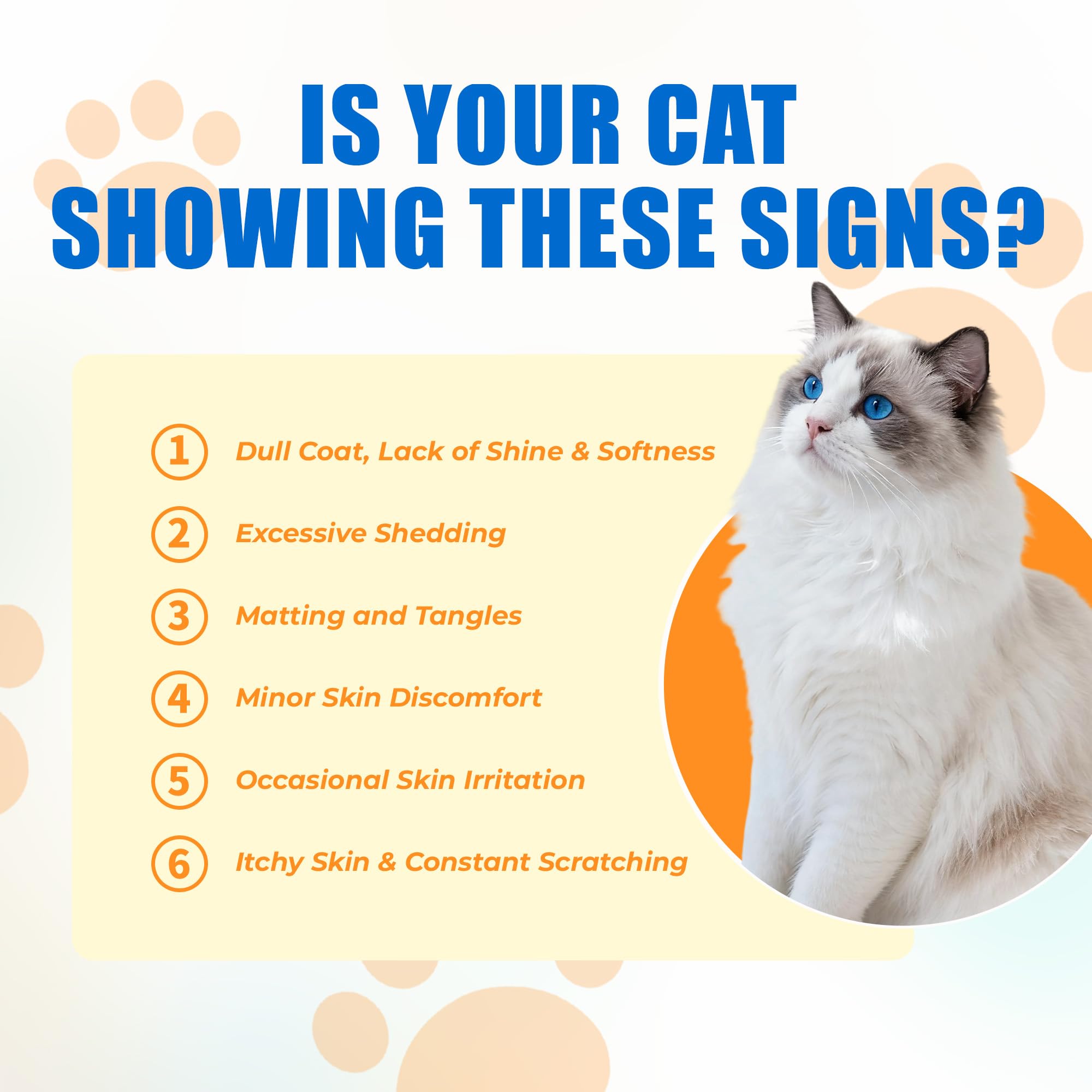 Just Try chicken-flavor bites in a bowl promote coat support for indoor cats.