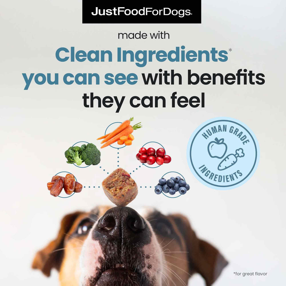 JustFoodForDogs Calming Soft Chews close-up texture showing real ingredients and quality