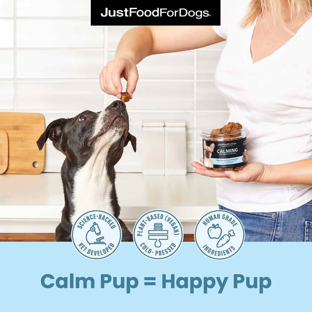 JustFoodForDogs Calming Soft Chews dog eating demonstrates palatable wellness support