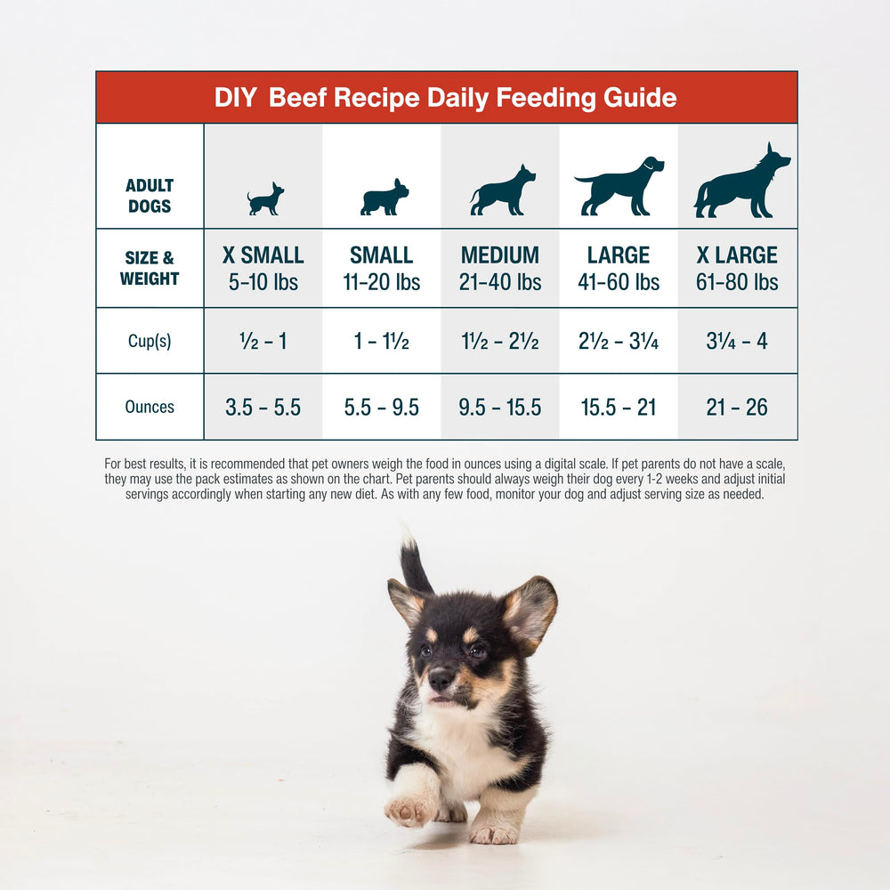 JustFoodForDogs DIY Nutrient Blend in a bowl ready to boost meals