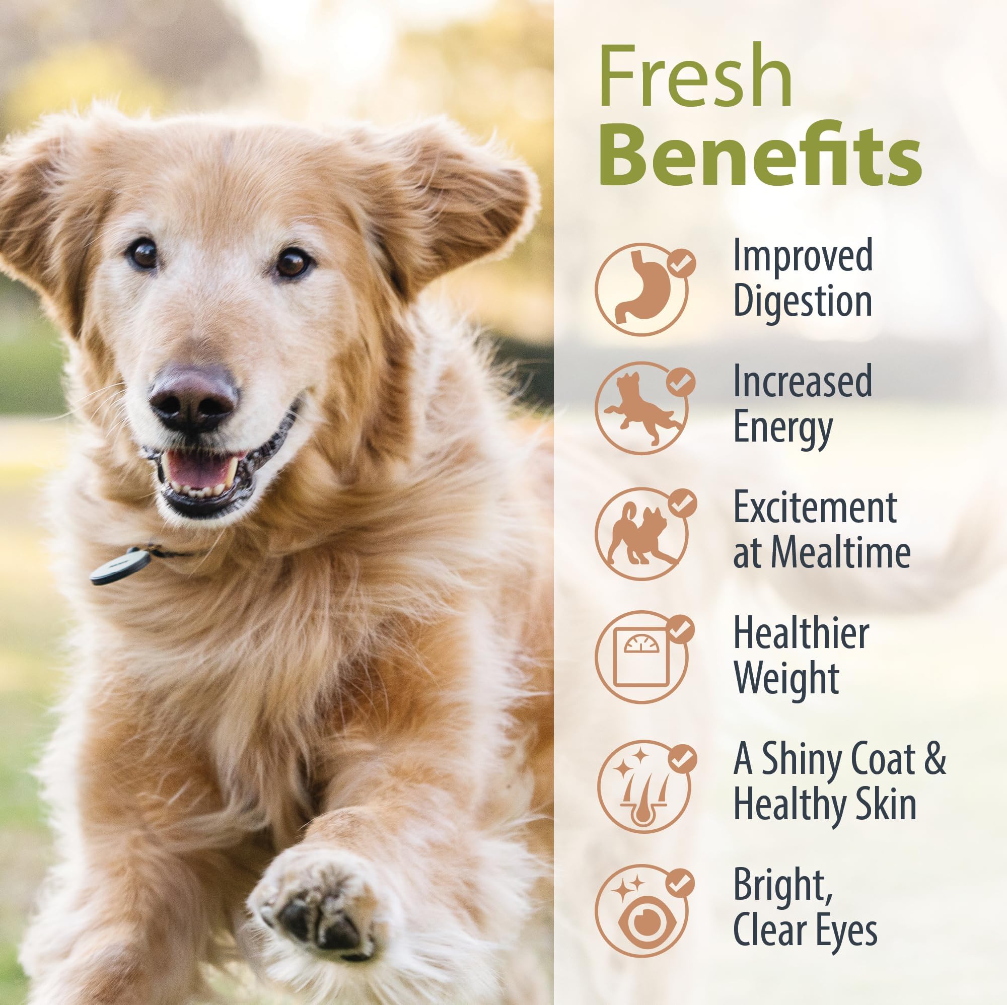 JustFoodForDogs DIY Nutrient Blend kitchen-scene with fresh ingredients for easy dog dinners.