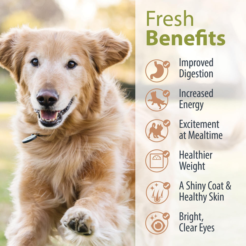 JustFoodForDogs DIY Nutrient Blend kitchen-scene with fresh ingredients for easy dog dinners.