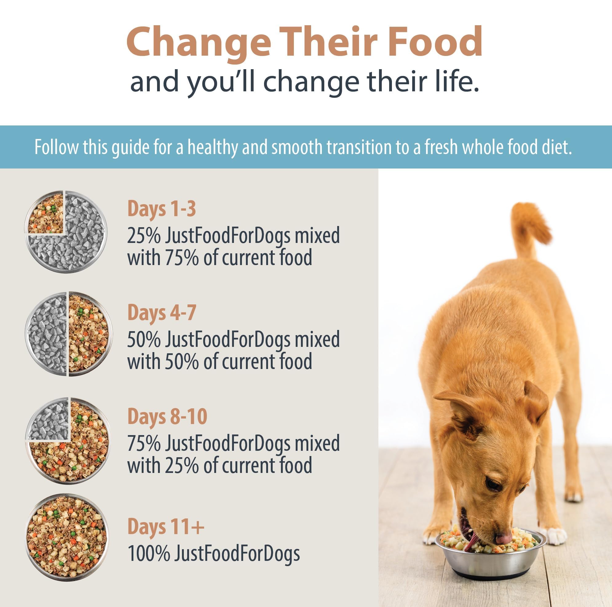 JustFoodForDogs DIY Nutrient Blend shopping-guide aids ingredient sourcing for home cooking.