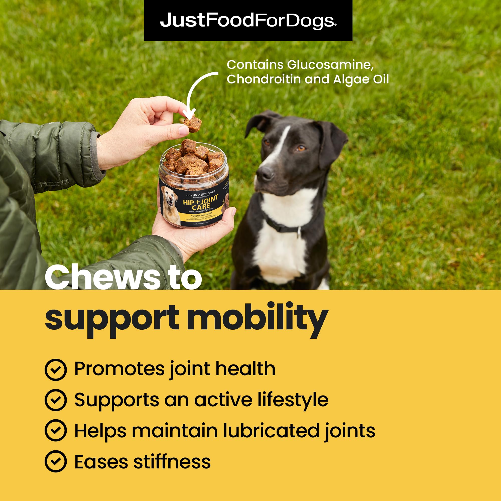 JustFoodForDogs Hip & Joint Soft Chews bottle side text highlights glucosamine and chondroitin for mobility.